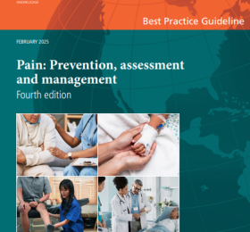 Pain prevention, assessment and management BPG cover